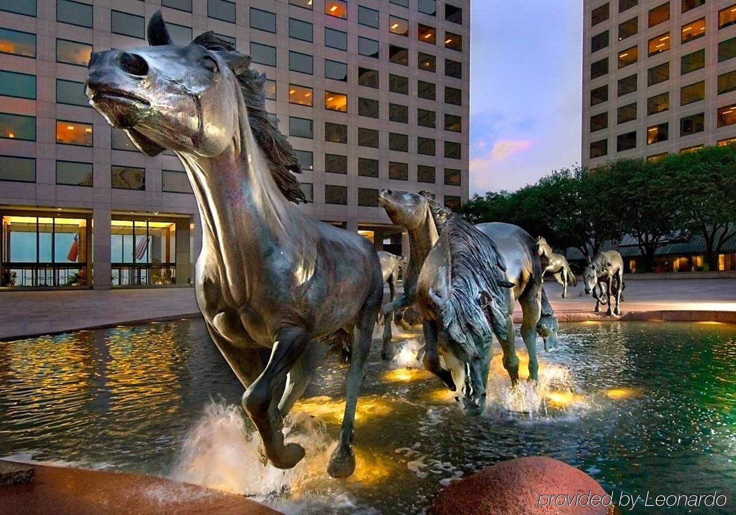 Hampton Inn Dallas Irving Las Colinas Facilidades foto